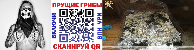 Купить закладки  Кириллов  Галлюциногенные грибы GOLDEN TEACHER 