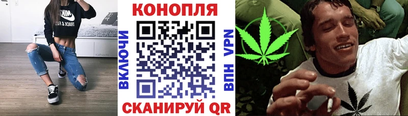Шишки марихуана Bruce Banner Кириллов